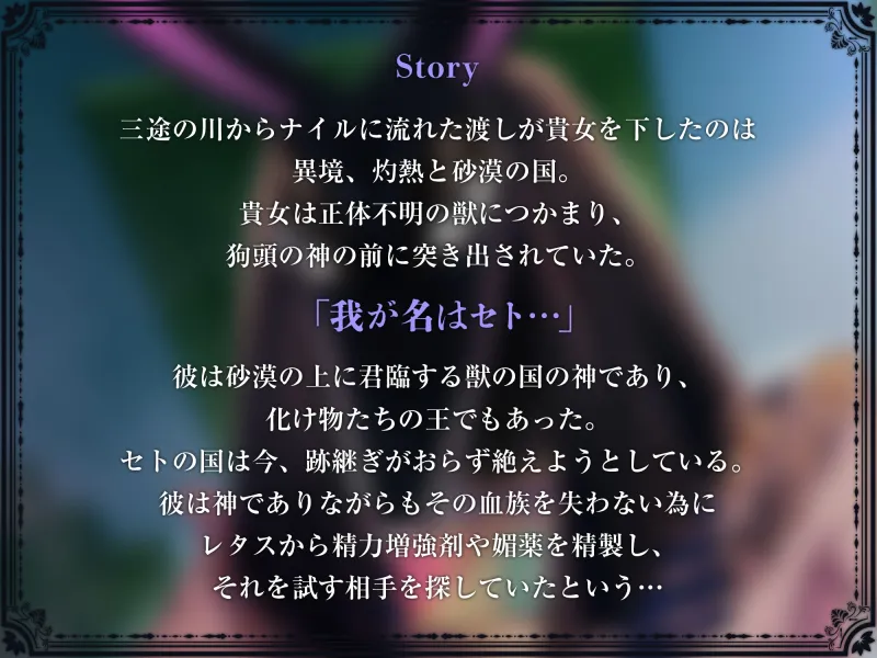 本文説明画像