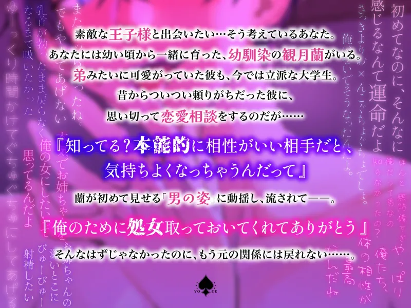 本文説明画像