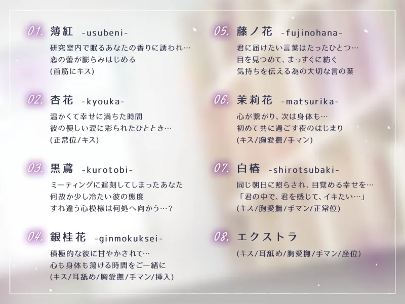 本文説明画像