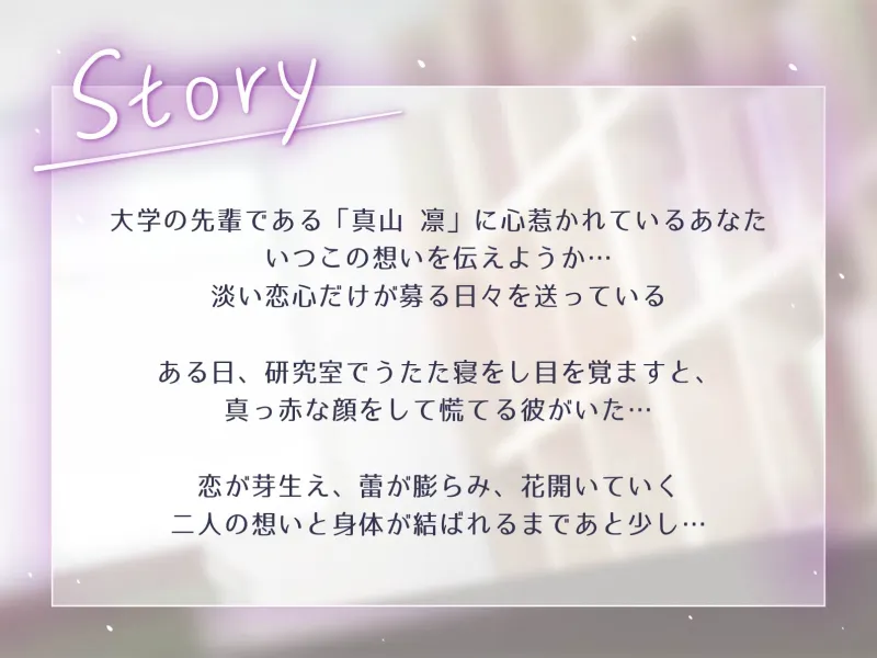 本文説明画像