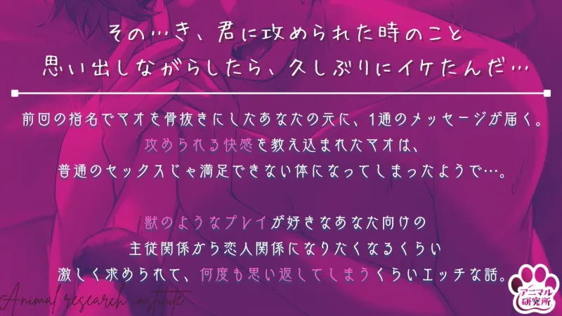 本文説明画像