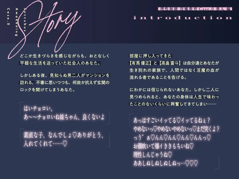 本文説明画像