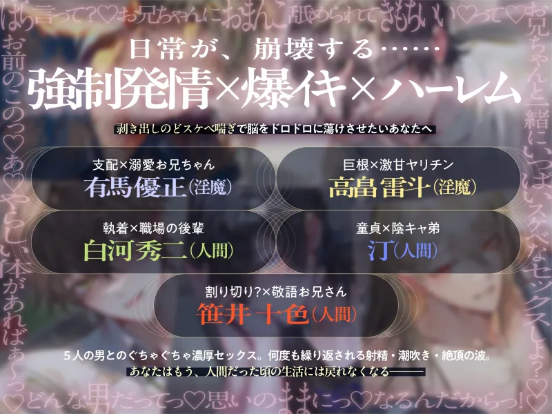 本文説明画像
