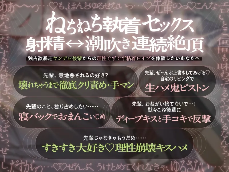 本文説明画像