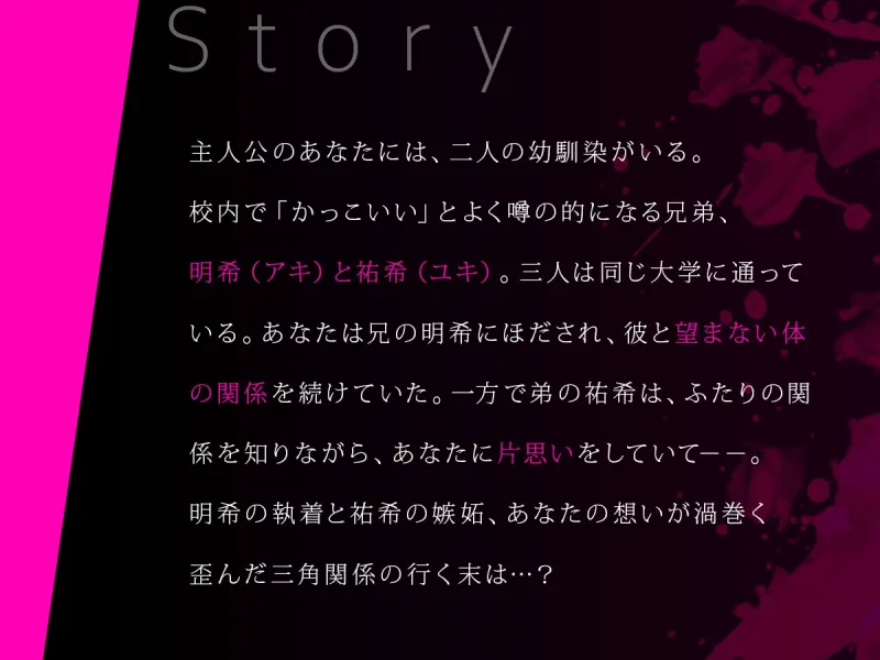 本文説明画像