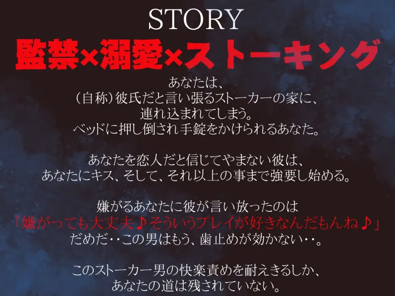 本文説明画像