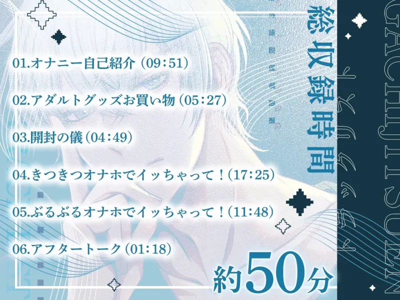 本文説明画像