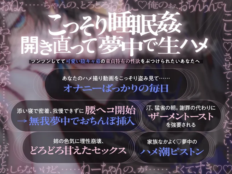 本文説明画像