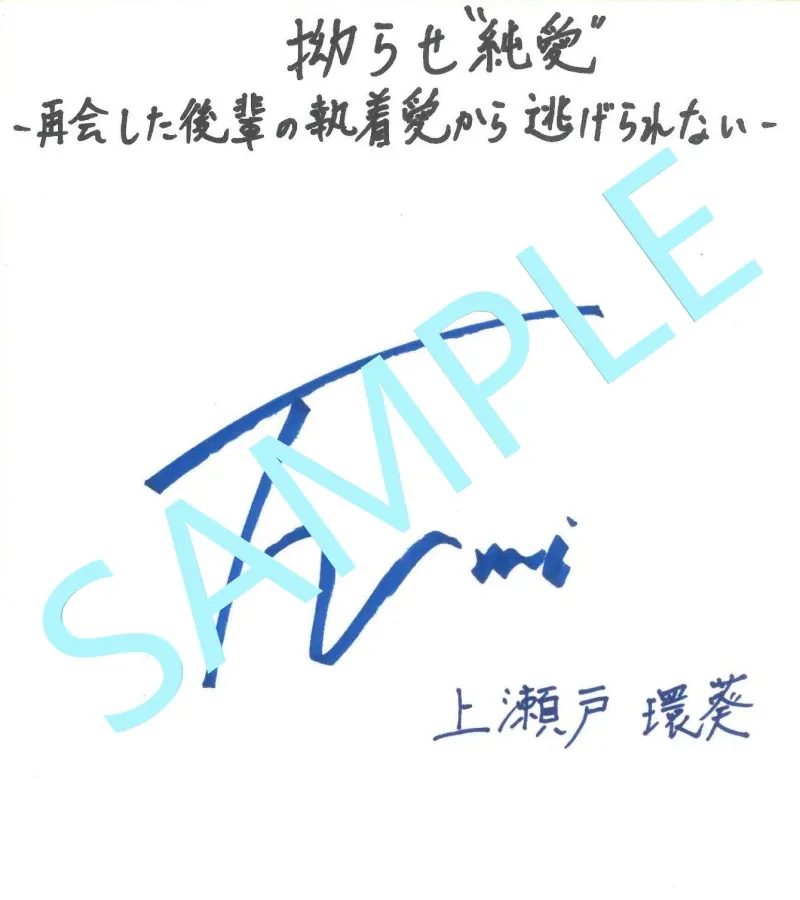 本文説明画像