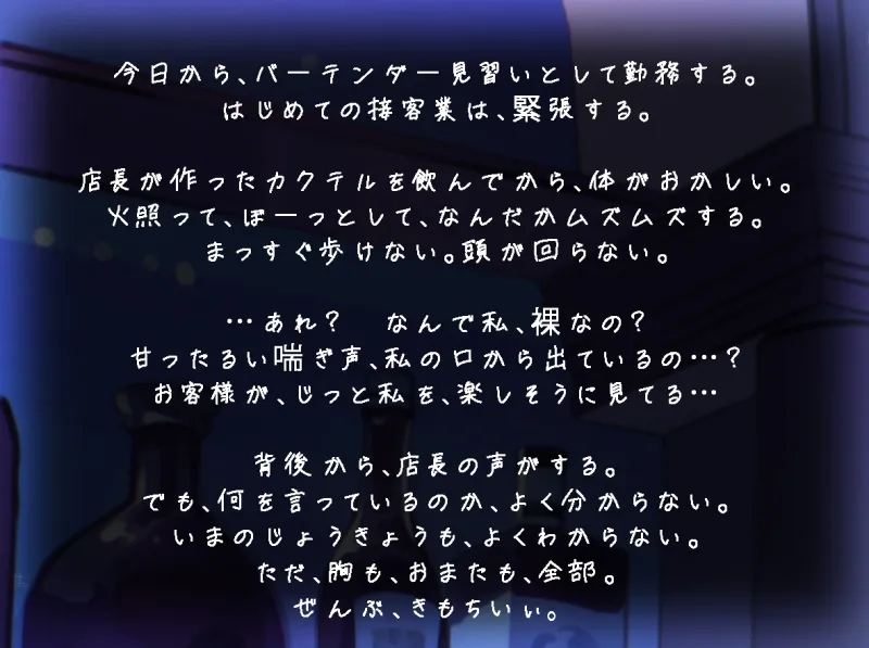 本文説明画像