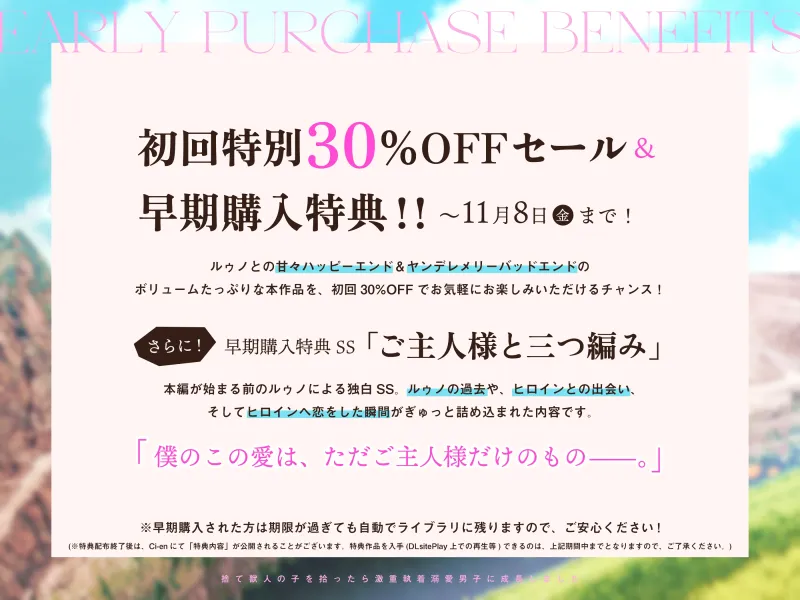 本文説明画像