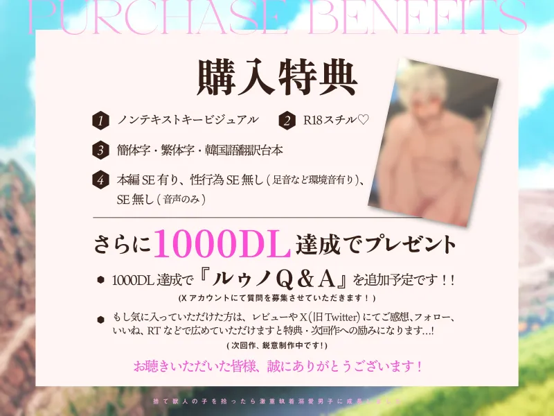 本文説明画像