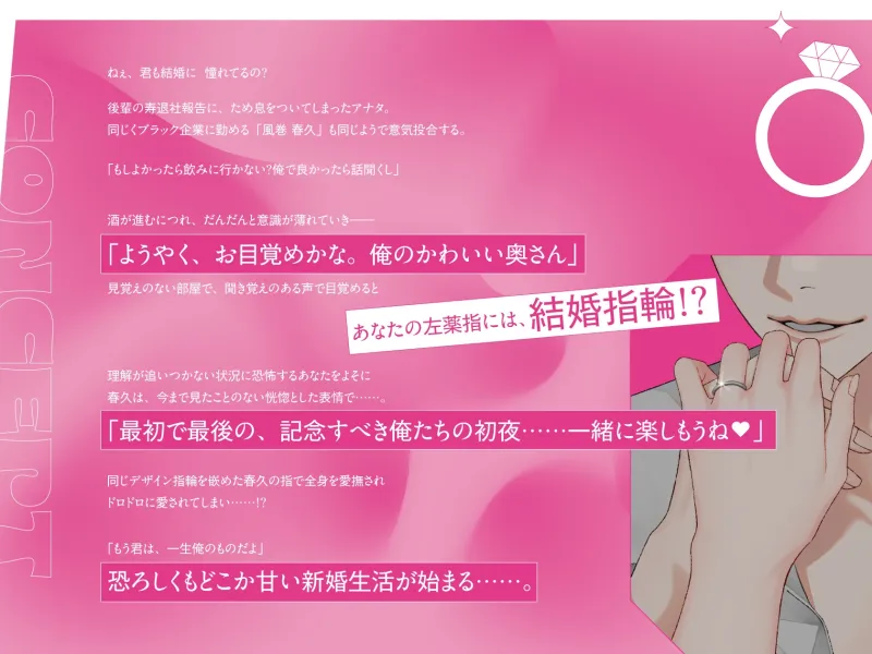 本文説明画像