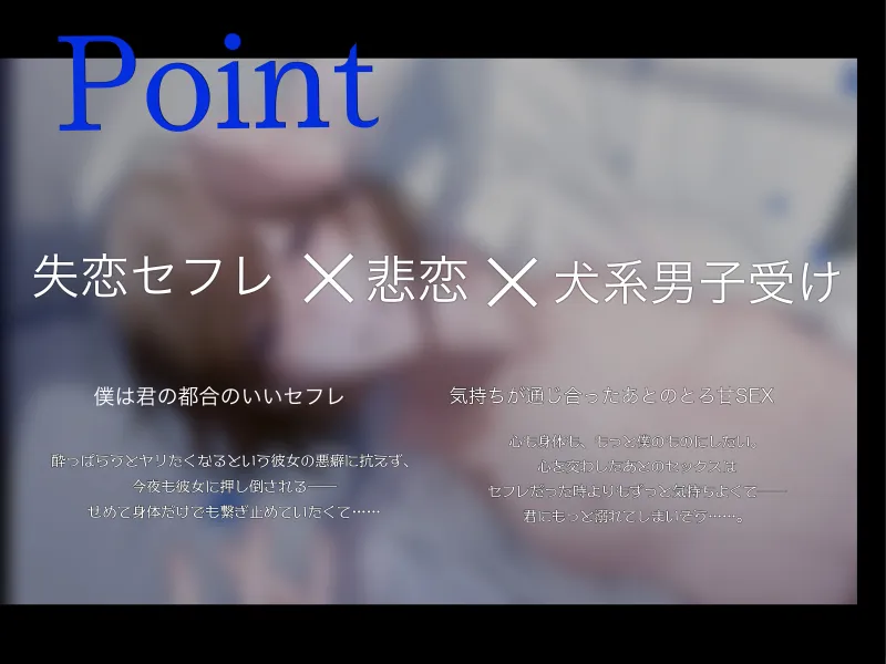本文説明画像