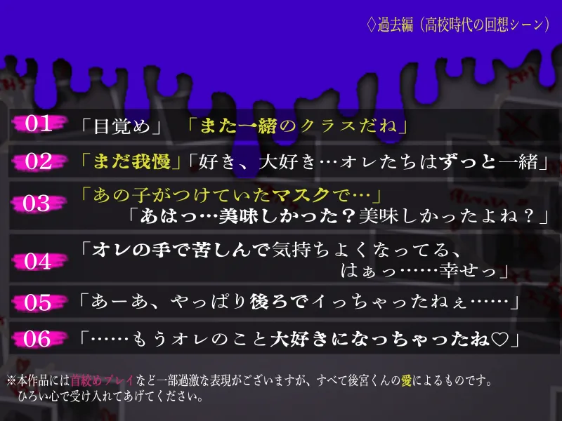 本文説明画像