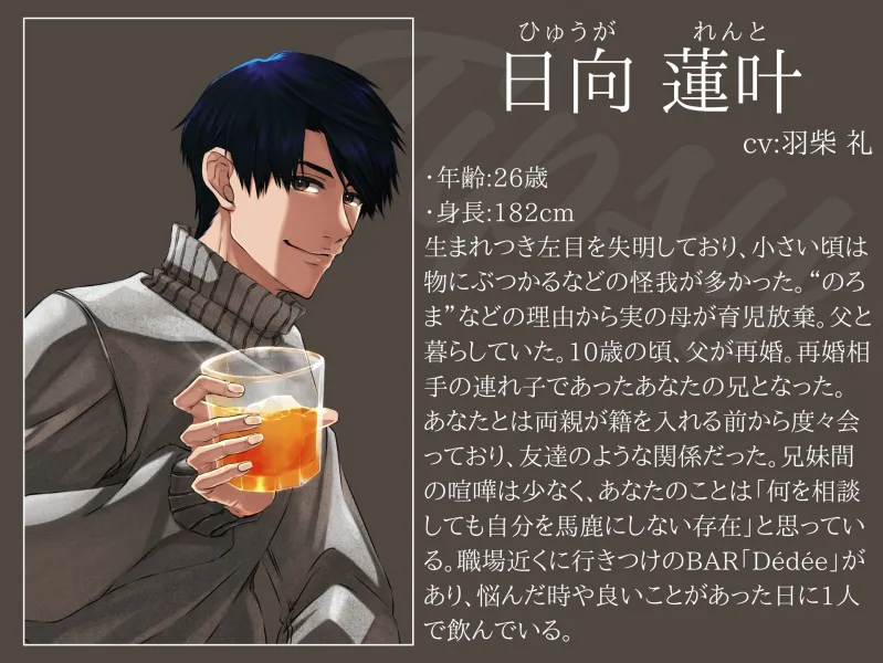 本文説明画像