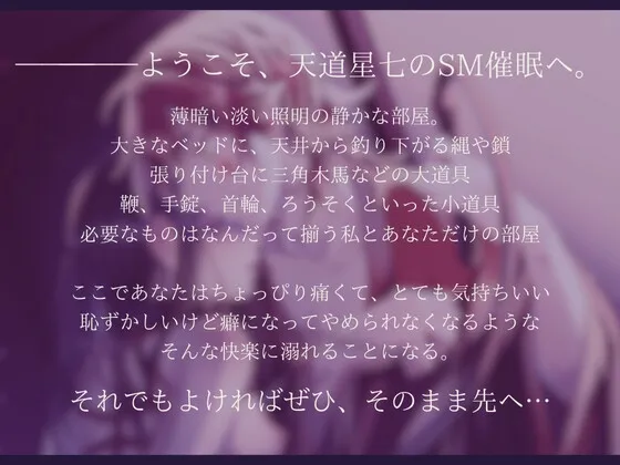 本文説明画像