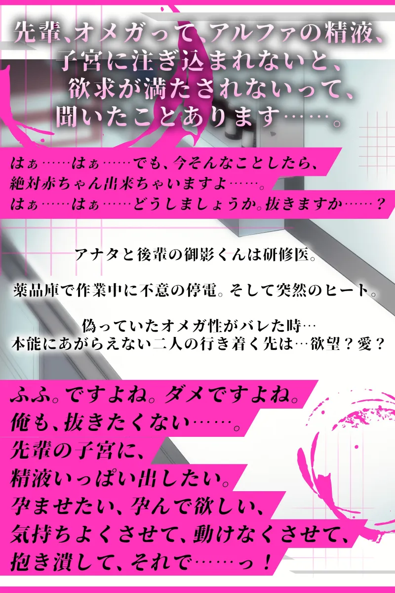 本文説明画像