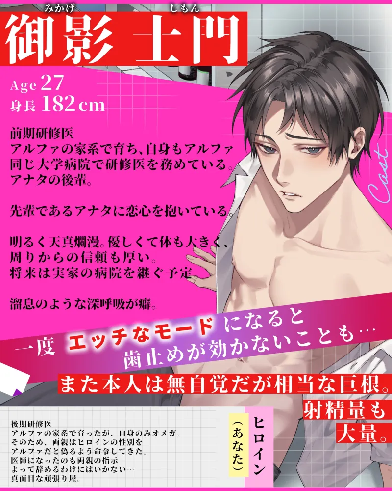 本文説明画像