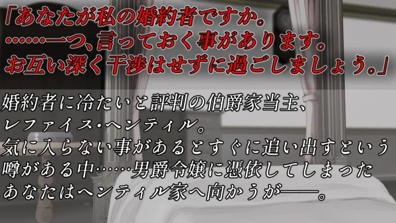 本文説明画像