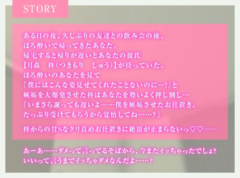 本文説明画像