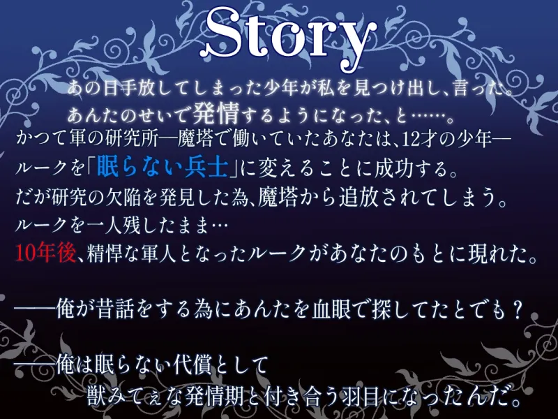 本文説明画像