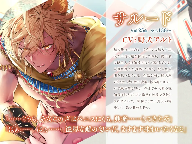 【KU100】夜獣(やじゅう)の溺愛エロス ～独占欲を爆発させた獣王は夜伽役を愛し潰す～
