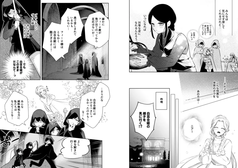 聖騎士の淫情2 ～白百合の嗜欲～