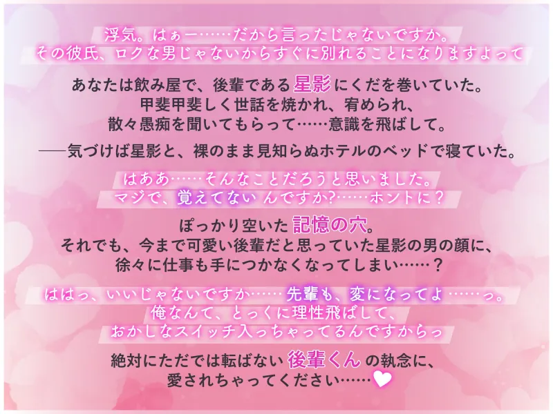本文説明画像
