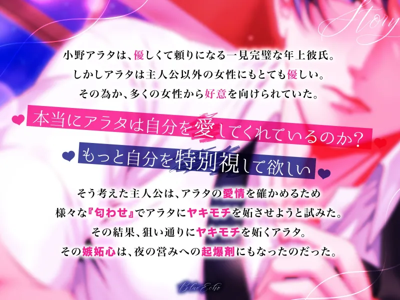 本文説明画像