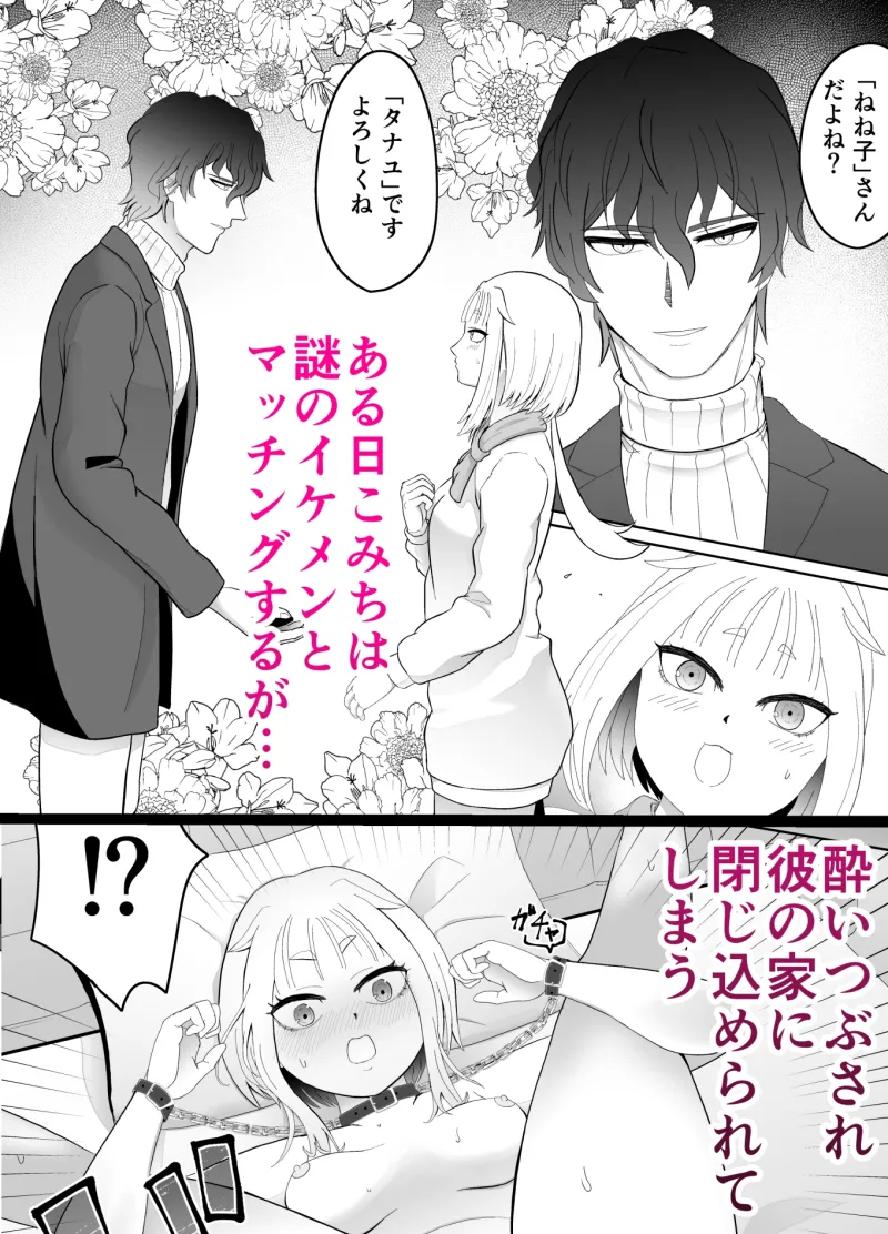化猫調教