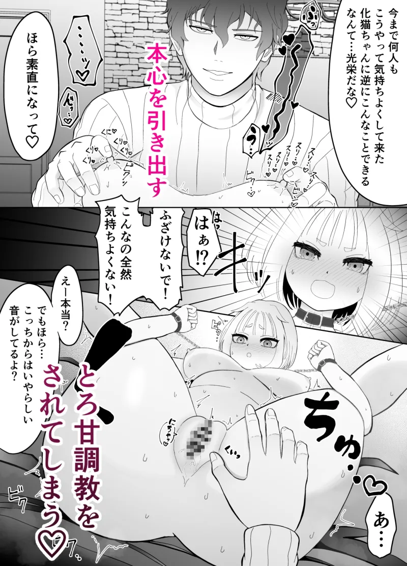 化猫調教