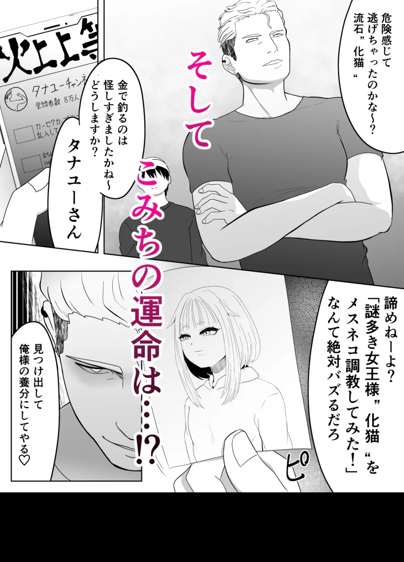 化猫調教
