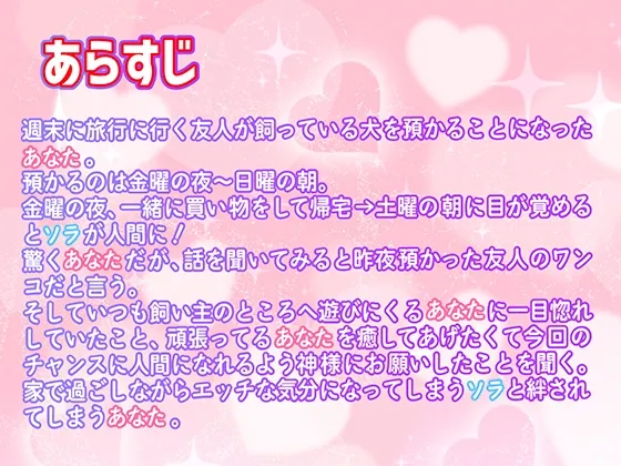 【コミック付き】溺愛ワンコの全力ご奉仕エッチ【耳舐め/クンニ/バイノーラル】(CV:三橋渡)