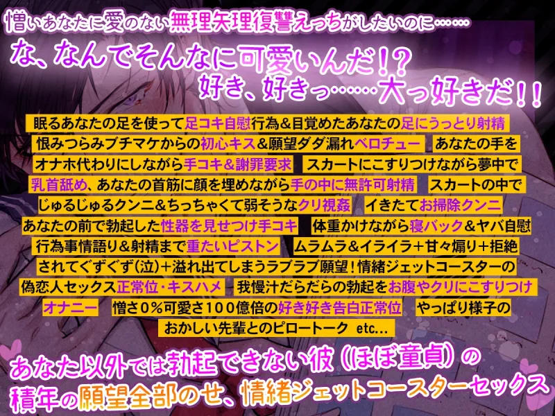 【光堕ち確定】「オナホがそんな可愛い顔をするな!」～あなた以外じゃ勃たなくなった!?プライド激高エリート男との再会復讐溺愛ダダ漏れ強制えっち～