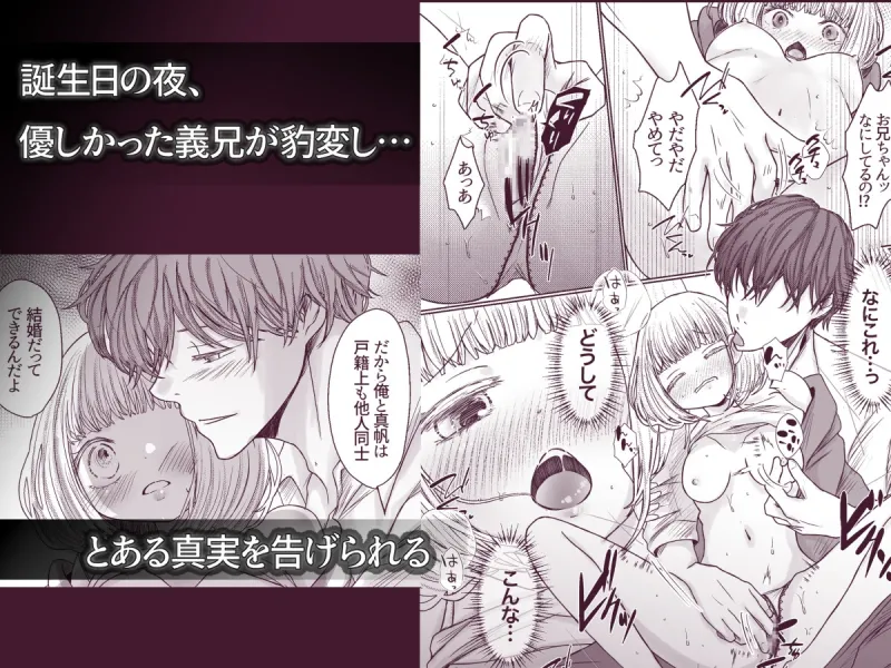 ヤンデレ義兄の策略愛〜大好きなおにいちゃんに快楽堕ちさせられて電流調教されています〜
