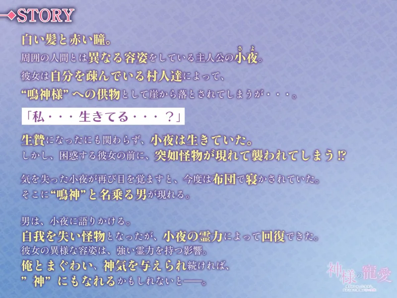 本文説明画像