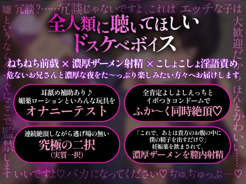 本文説明画像