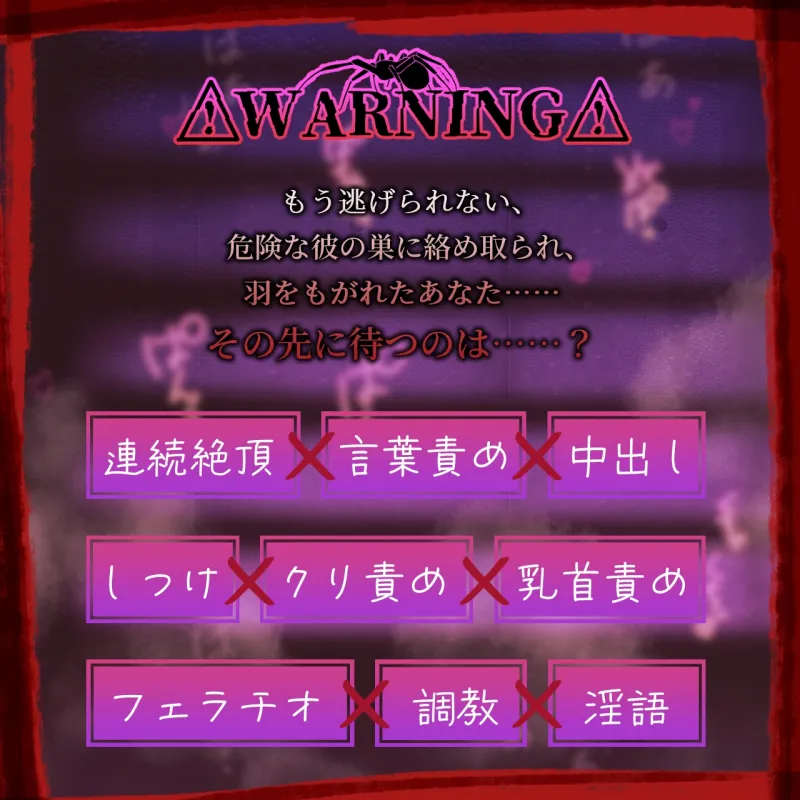 本文説明画像