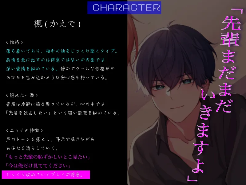 本文説明画像