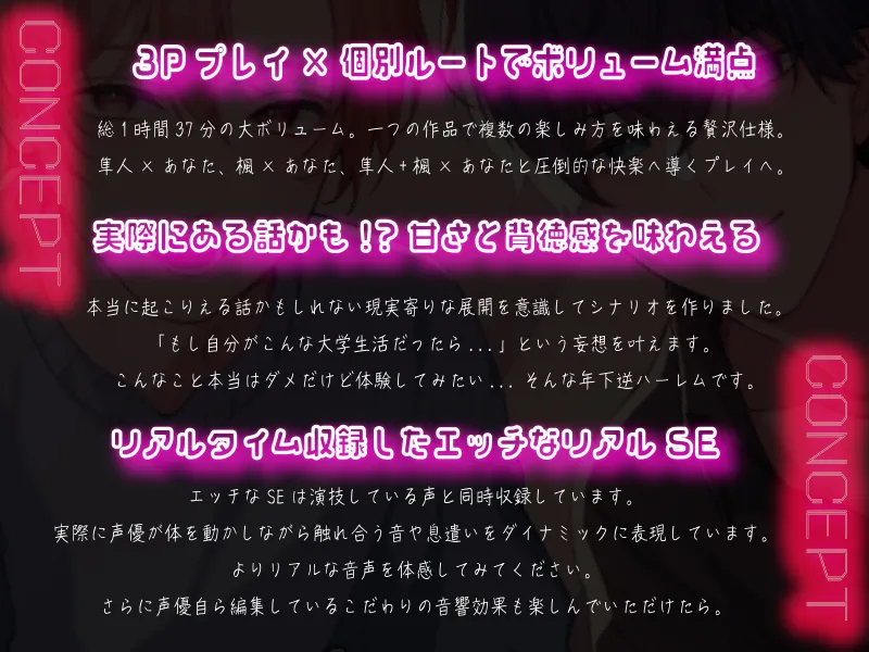 本文説明画像