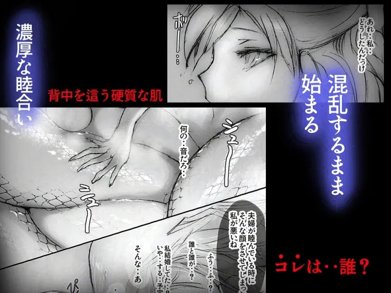 本文説明画像