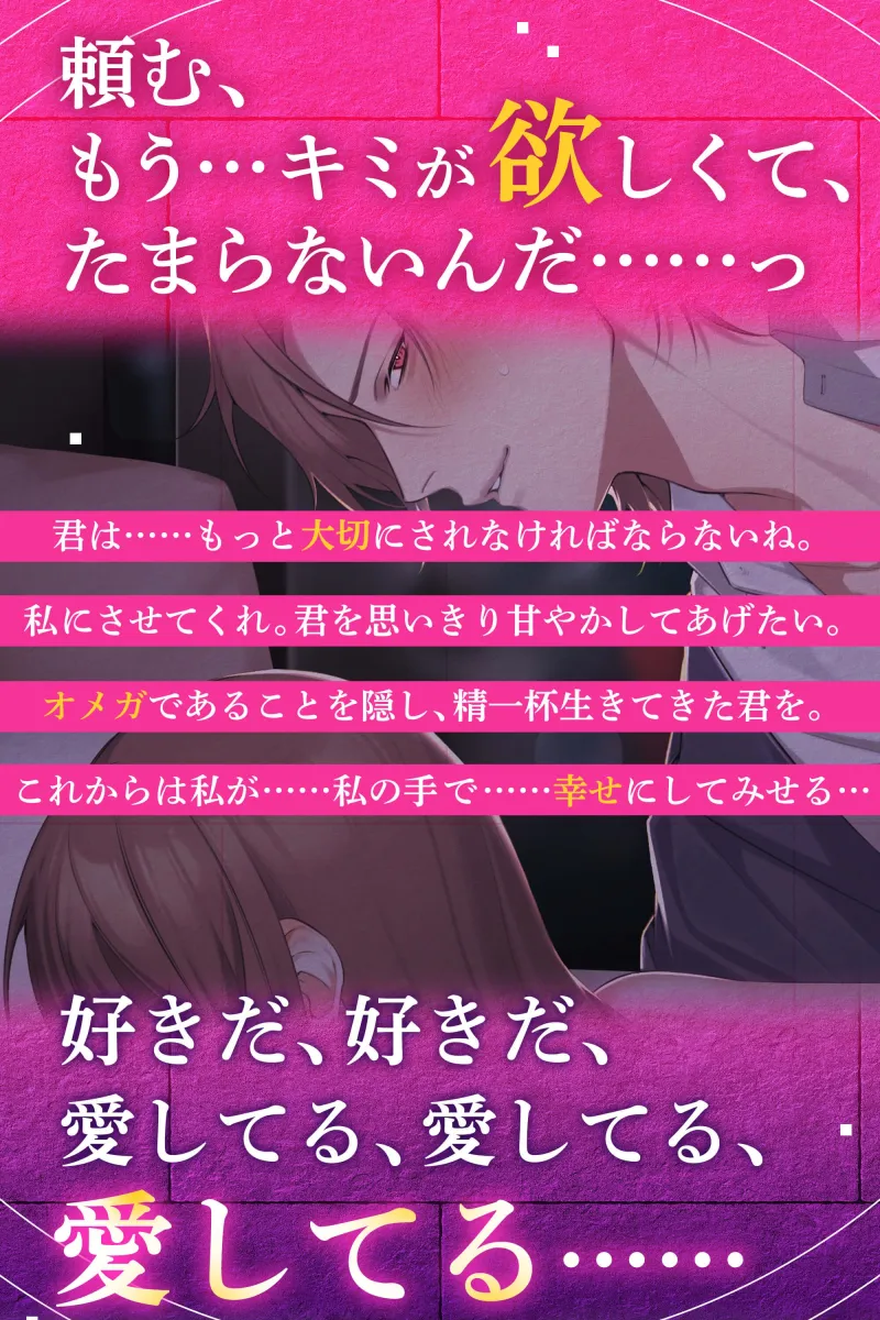 本文説明画像