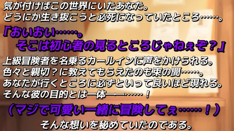 本文説明画像