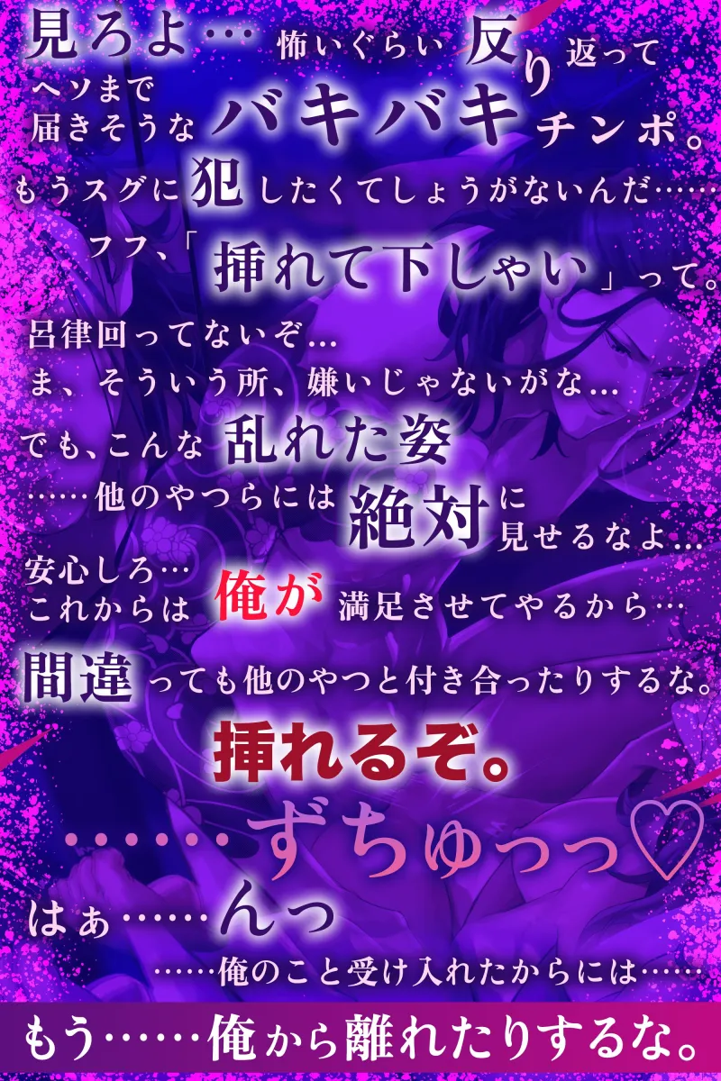 本文説明画像