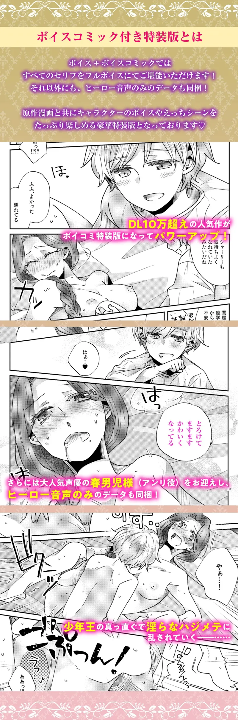 本文説明画像