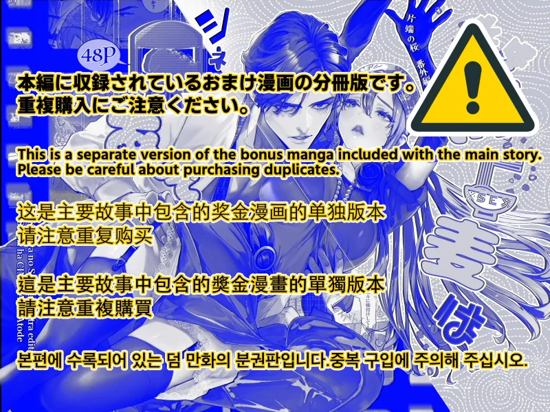 本文説明画像