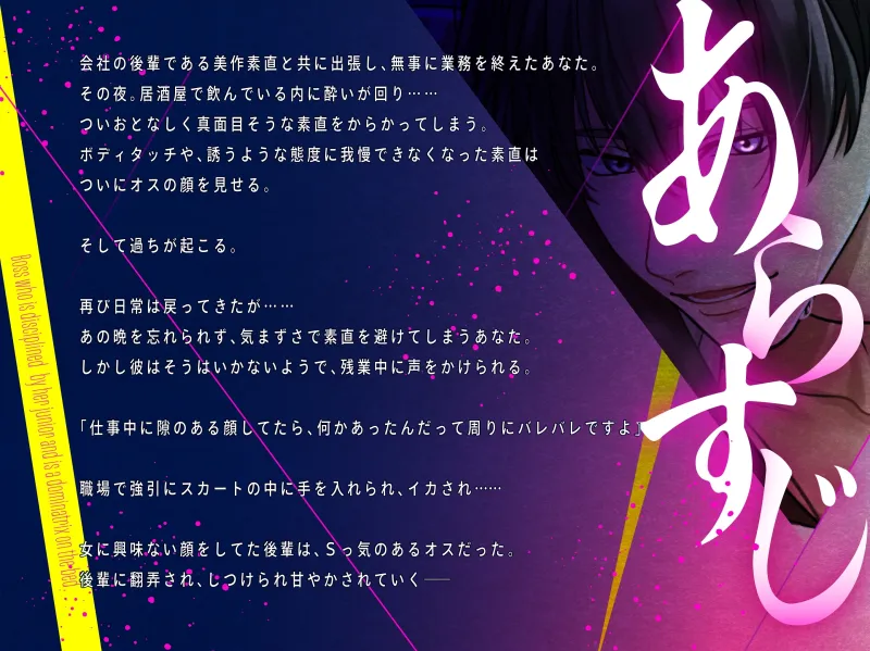 本文説明画像