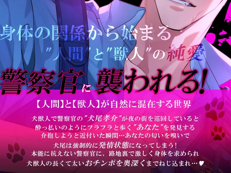 本文説明画像