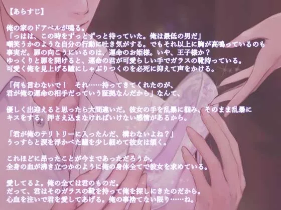 本文説明画像